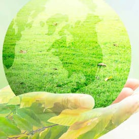 ADAPT-IT_Sustainability-Report-Click-through_SES-2019_MM_20191013